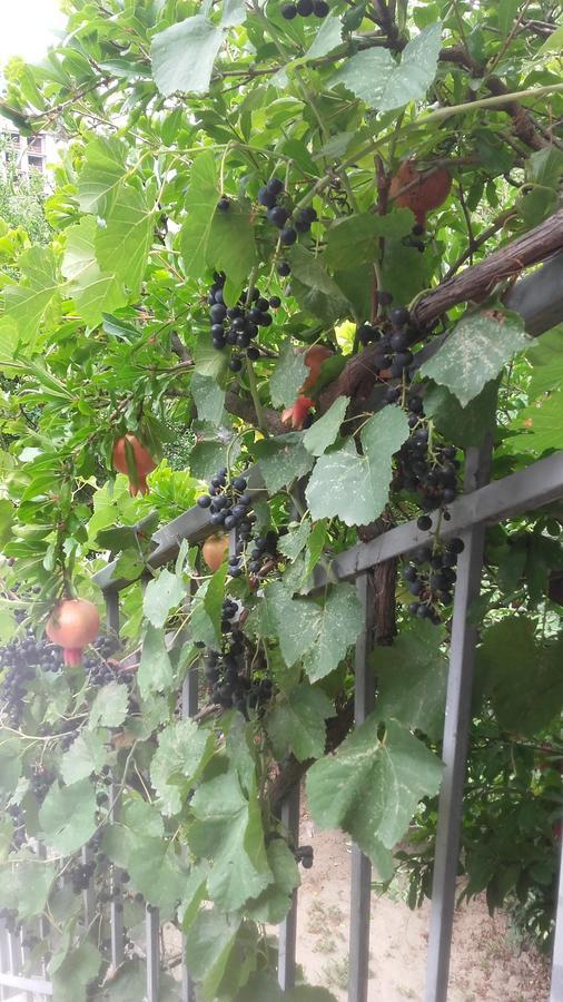 Домик У Реки Куры 트빌리시 외부 사진